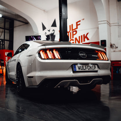 Wulf™ Ford Mustang GT 5.0 V8 MK6