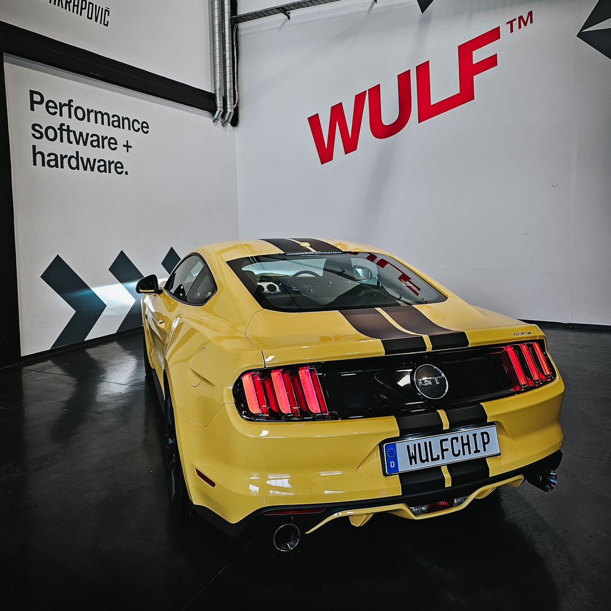 Wulf™ Ford Mustang GT 5.0 V8 MK6